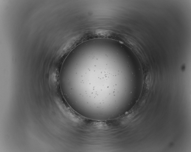 X0000110930424200906251338