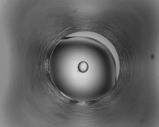X0000110930425200906251338