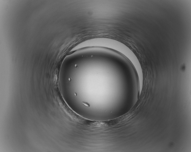 X0000110930427200906251338