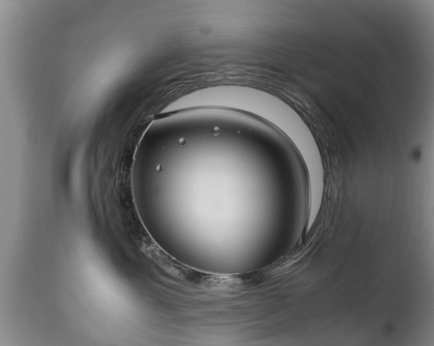 X0000110930429200906251338