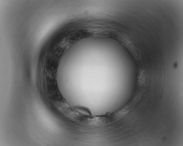 X0000110930430200906251338