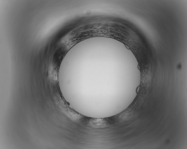 X0000110930431200906251338