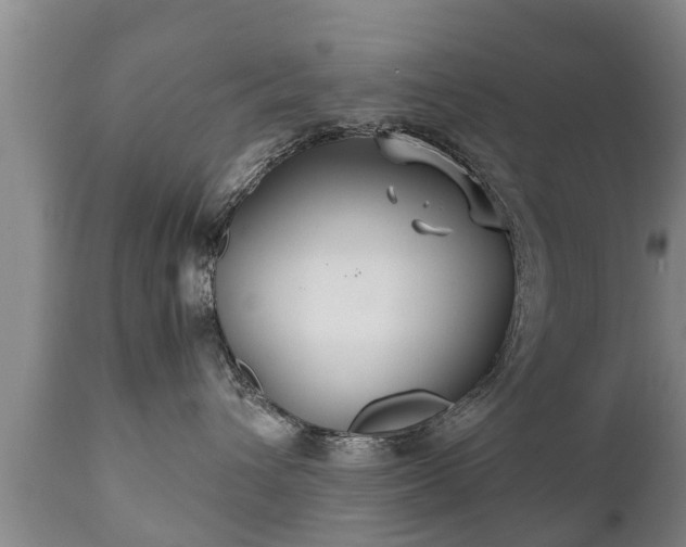 X0000110930432200906251338