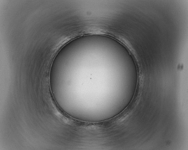X0000110930433200906251337