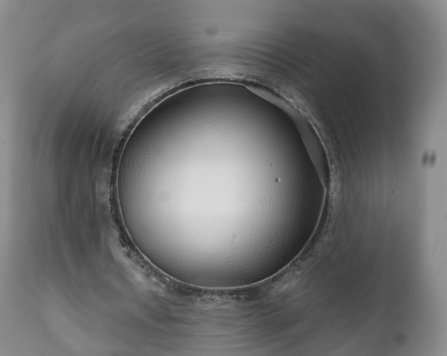 X0000110930434200906251337