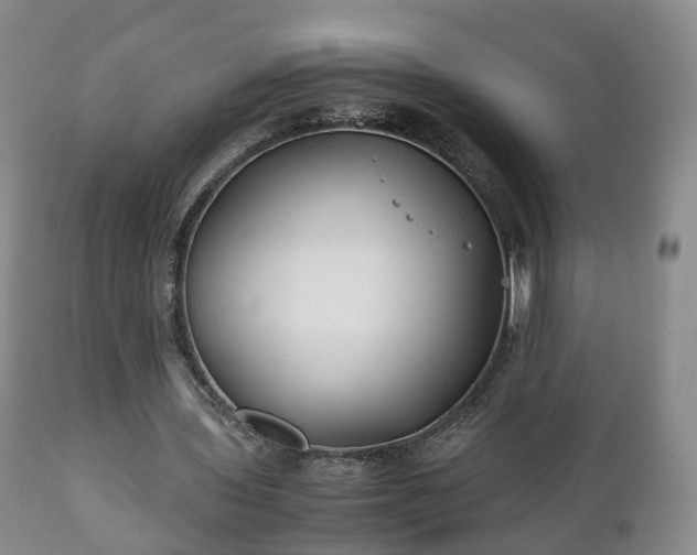 X0000110930435200906251337