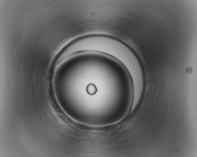 X0000110930436200906251337