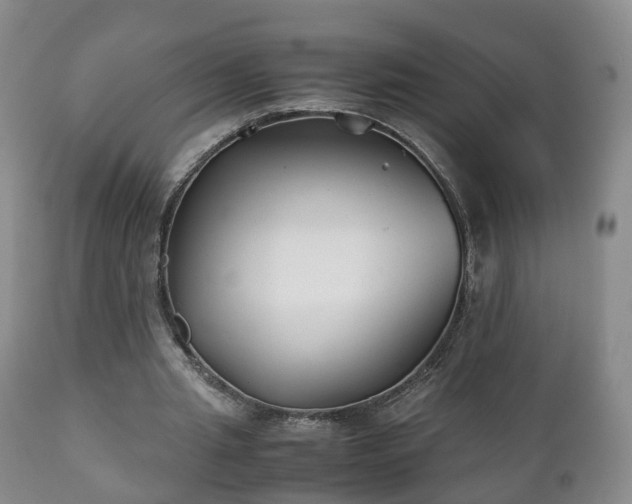 X0000110930437200906251337