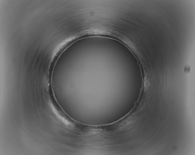 X0000110930438200906251337