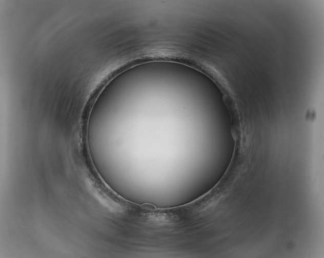 X0000110930439200906251337