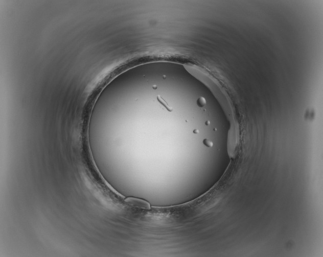 X0000110930440200906251337