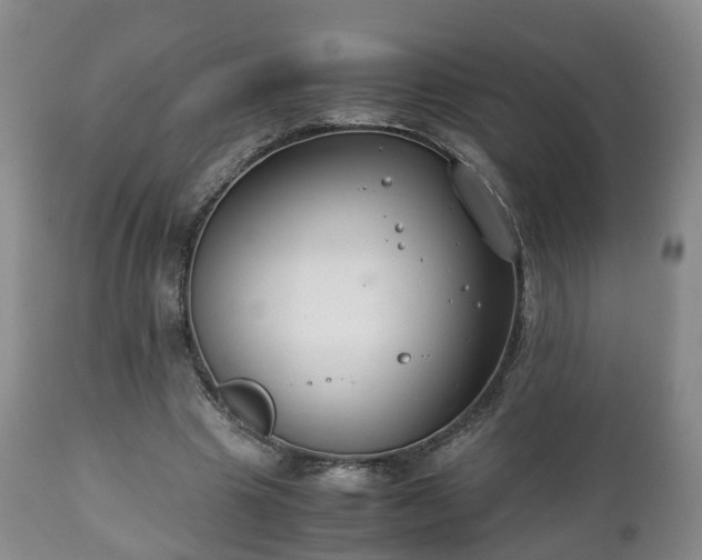 X0000110930441200906251337