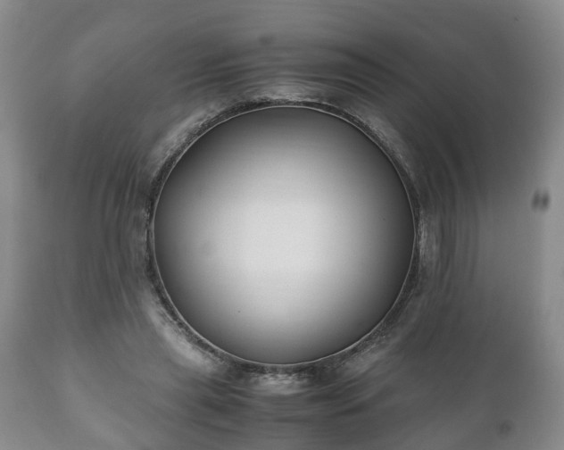 X0000110930445200906251338
