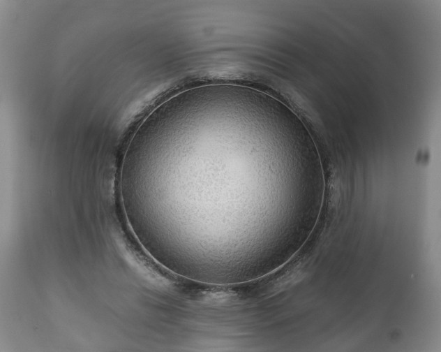 X0000110930446200906251338