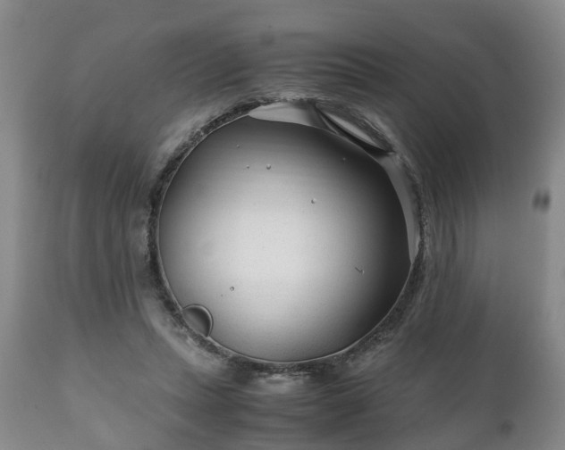 X0000110930447200906251338