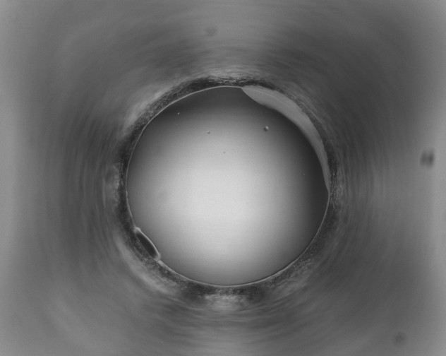 X0000110930448200906251338