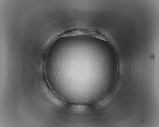X0000110930449200906251338