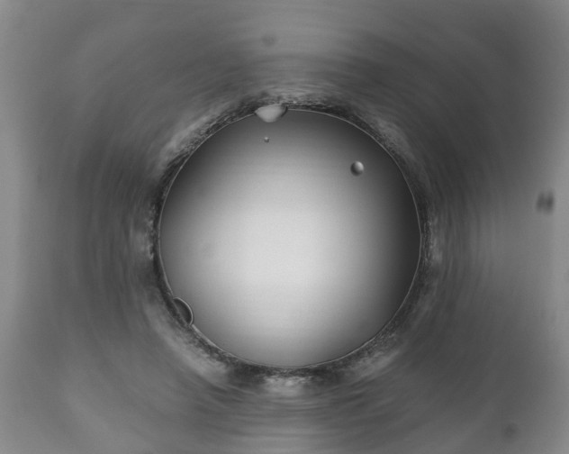 X0000110930450200906251338