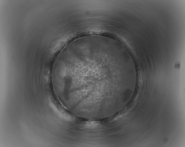 X0000110930451200906251338