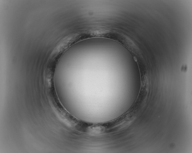 X0000110930452200906251338