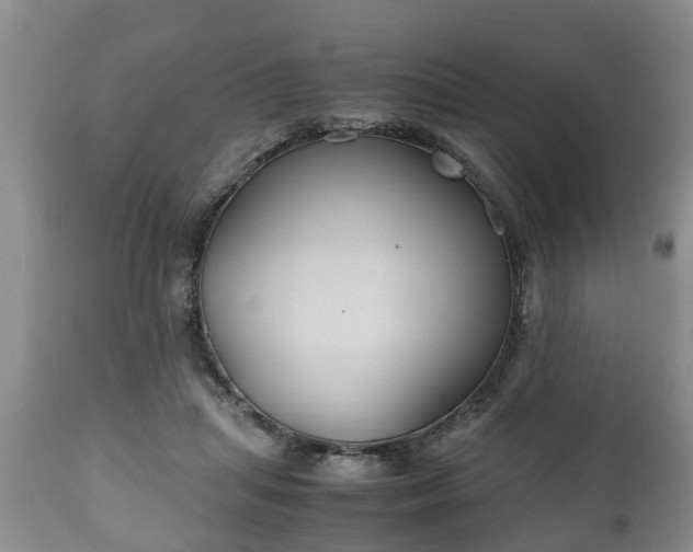 X0000110930455200906251338
