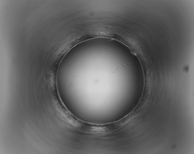 X0000110930457200906251338