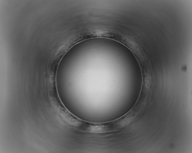 X0000110930461200906251338