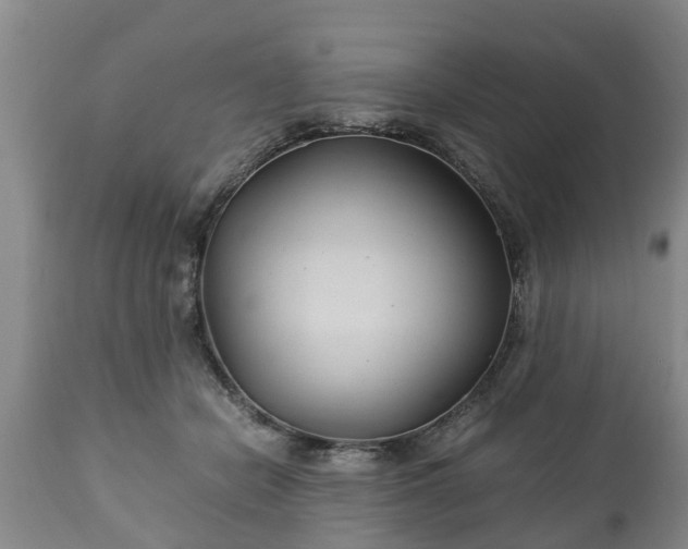 X0000110930462200906251338