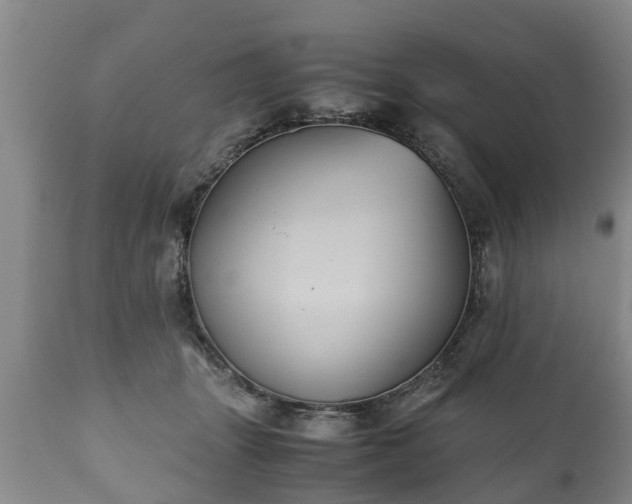 X0000110930463200906251338