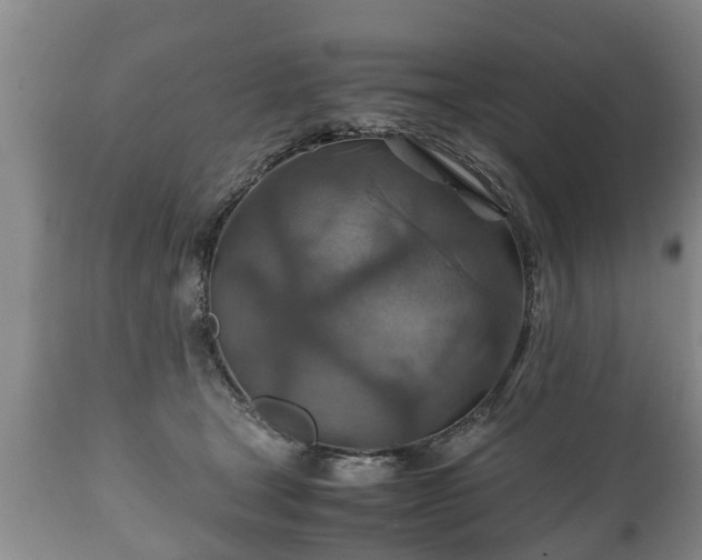 X0000110930465200906251338