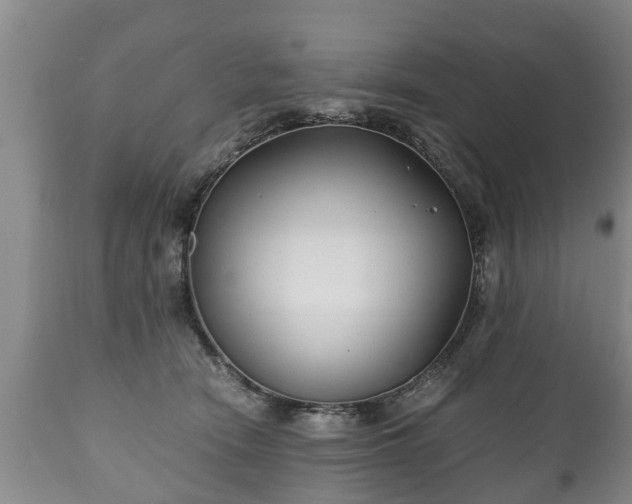 X0000110930466200906251338
