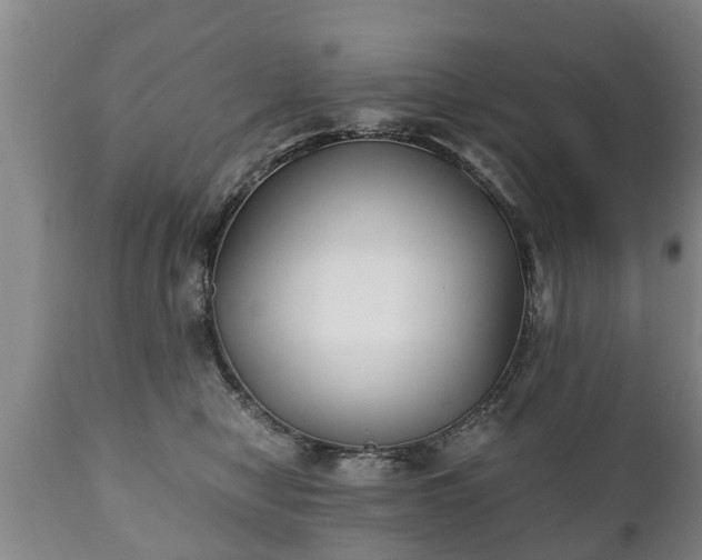 X0000110930470200906251338
