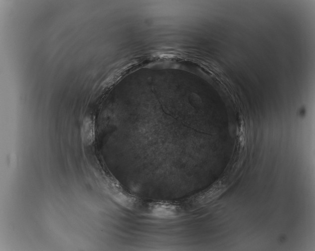 X0000110930471200906251338