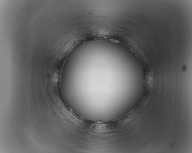 X0000110930472200906251338