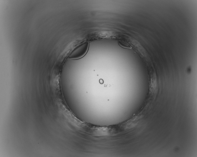 X0000110930473200906251338