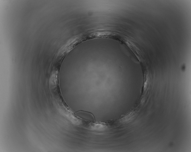 X0000110930475200906251338
