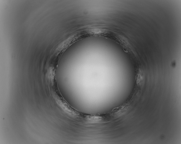 X0000110930476200906251338