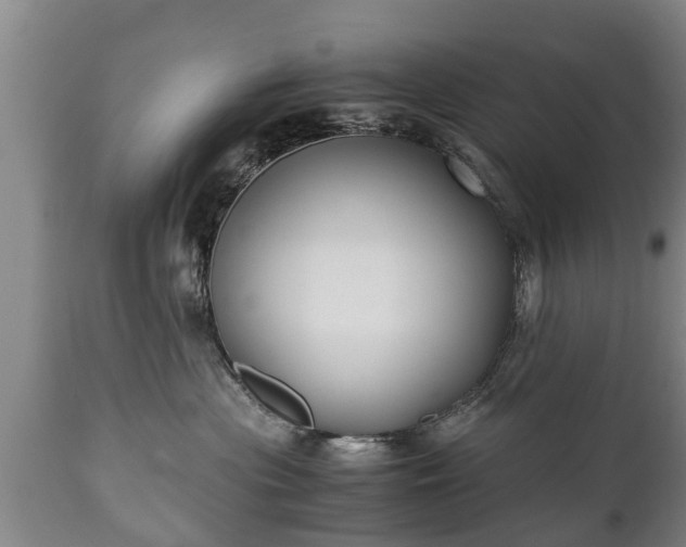 X0000110930477200906251338