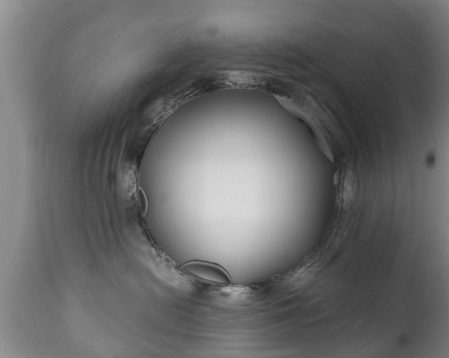 X0000110930478200906251338