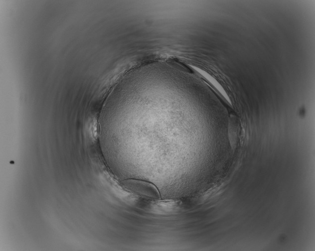 X0000110930479200906251338