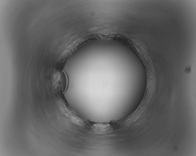 X0000110930480200906251338