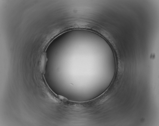 X0000110930481200906251337
