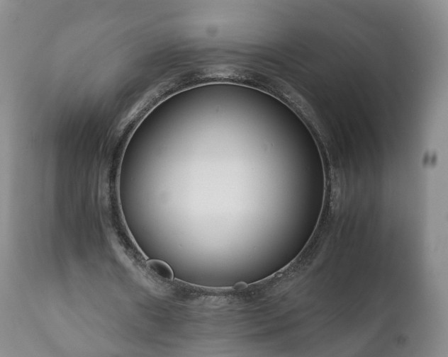 X0000110930482200906251337
