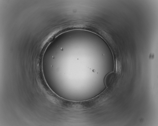 X0000110930483200906251337