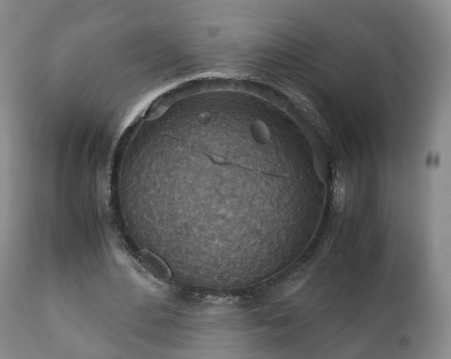 X0000110930484200906251337