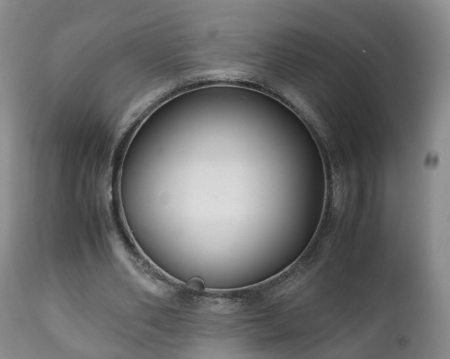 X0000110930486200906251337