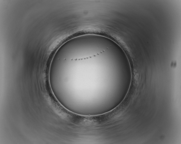 X0000110930487200906251337