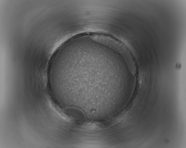 X0000110930488200906251337
