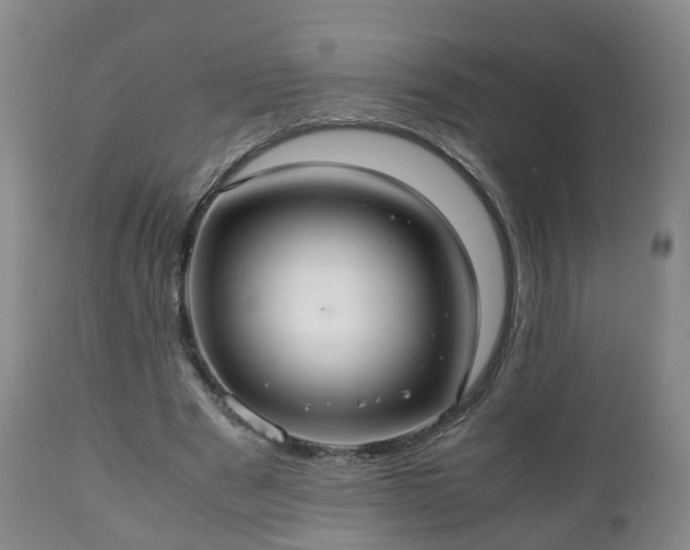 X0000110930489200906251337