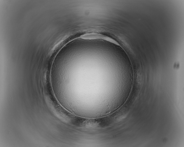 X0000110930491200906251337